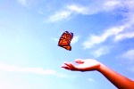De la chenille au papillon avec EFT