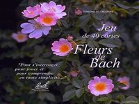 Jeu de Cartes Fleurs de Bach