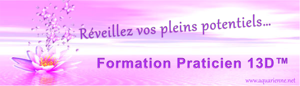 Formation Praticien 13D New Paradigm MDT pour réveiller et développer vos pleins potentiels