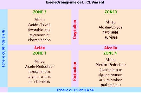 Bioélectronnigramme de Louis Claude Vincent