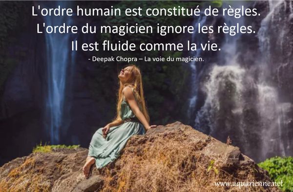 L-ordre-du-magicien-est-fluide-comme-la-vie