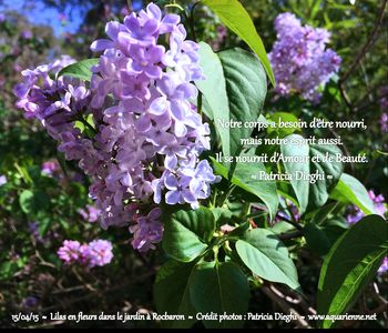 Vivre vraiment, c`est aussi prendre le temps...le temps de s`émerveiller devant la beauté d`une fleur, de s`énivrer de son délicat parfum