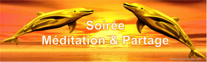 Soirée Méditation et Partage : à la rencontre des Dauphins d`Or 