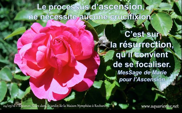 Message de Marie pour l`ascension : le processus d`ascension ne nécessite aucune crucifixion, c`est sur la résurrection qu`il convient de se focaliser.