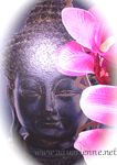 miracles-de-la-meditation-vipassana