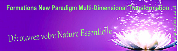 Formation Praticien Basique New Paradigm Multi Dimensional Transformation