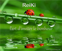 Reiki, l`art secret d`inviter le bonheur